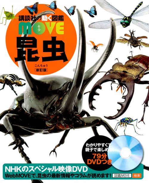 昆虫 新訂版