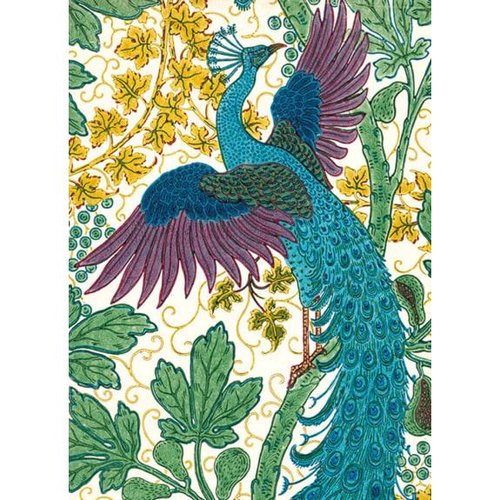 【V&A_M&G】封筒付きメッセージカード【FIG AND PEACOCK】