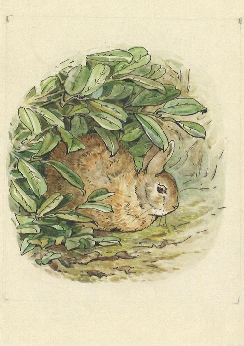 【V&A_O】ポストカード(茂みの下に隠れているウサギの絵)