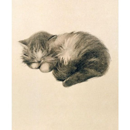 【V&A_M&G】グリーティングカード【PERSIAN KITTEN】