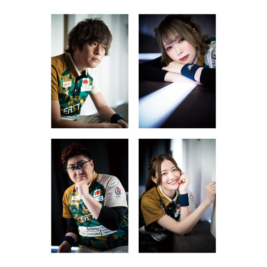 ポストカードセット Mリーグ2024-25 BEAST X B