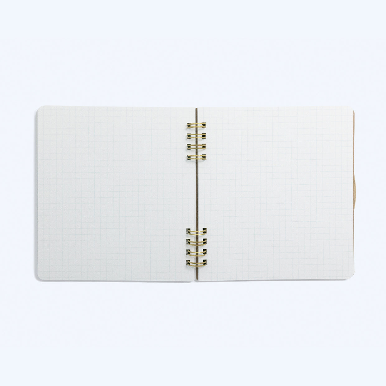 BLUE HAMHAM StudyDay リングノート