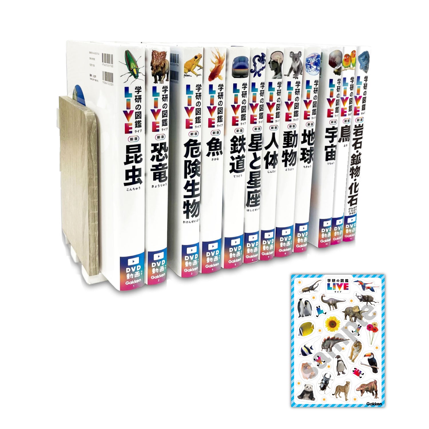 2260900000168.jpg__PID:aa069292-893b-4c8a-a2e5-cf648651adee