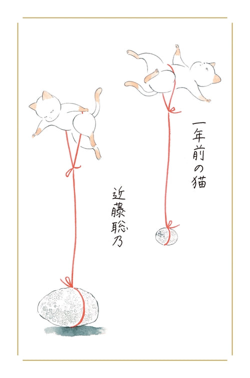一年前の猫
