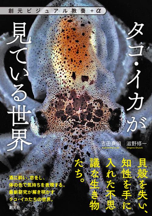 タコ・イカが見ている世界