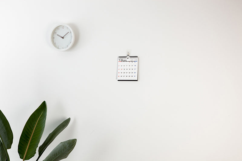 高橋書店 エコカレンダー エコカレンダー 壁掛・卓上兼用 A5変型 2026年1月始まりカレンダー A5変型判 壁掛卓上兼用・リング式