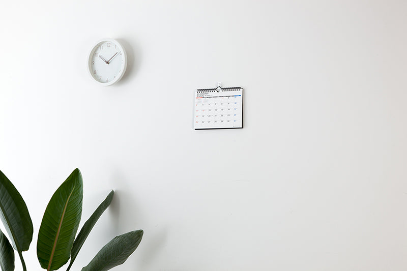 高橋書店 エコカレンダー エコカレンダー 壁掛・卓上兼用 A5 2026年1月始まりカレンダー A5判 壁掛卓上兼用・リング式