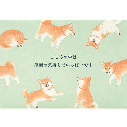 感謝 しっぽを振る柴犬 グリーティングカード