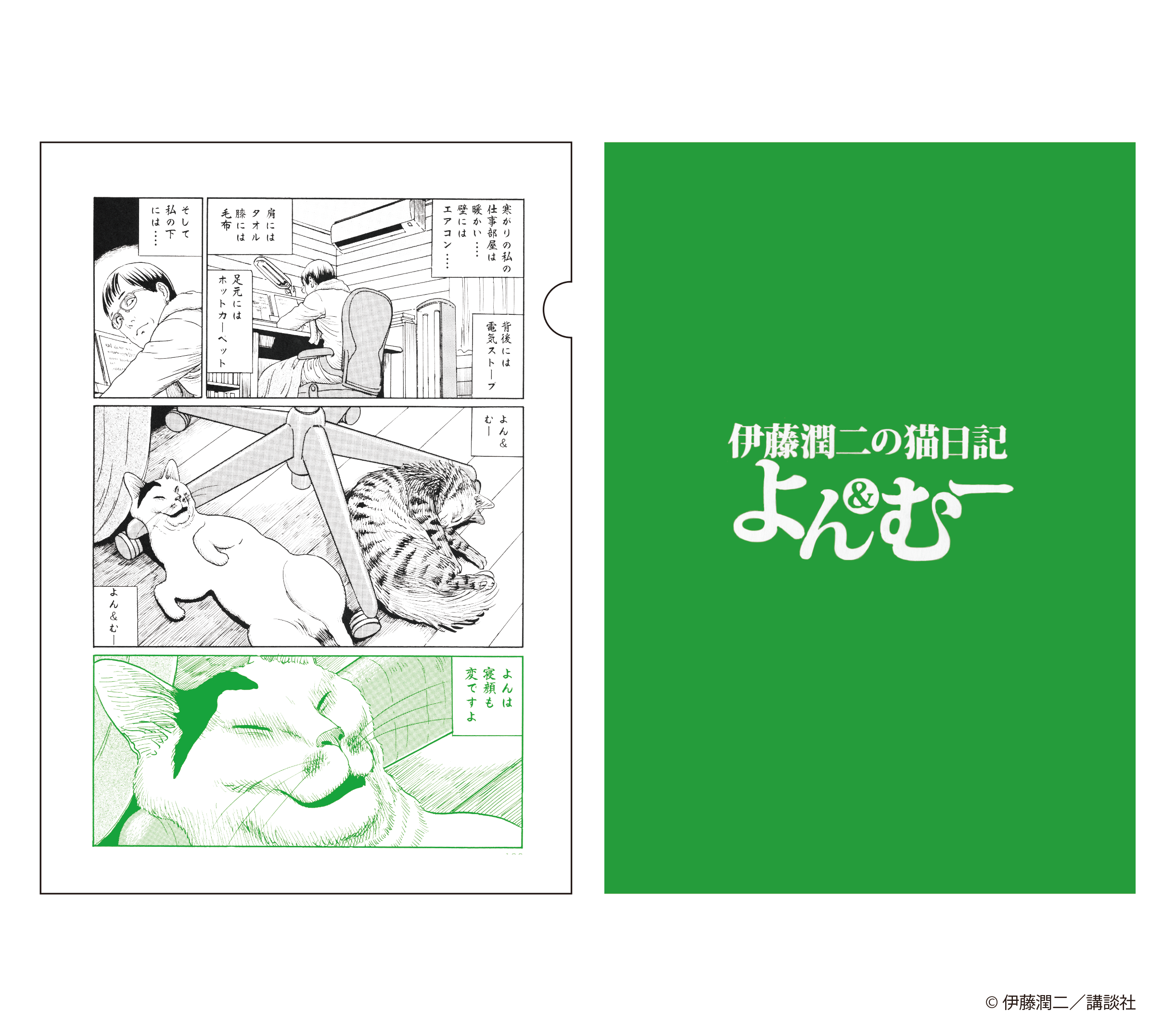 伊藤潤二の猫日記 よん&むー A4クリアファイル B