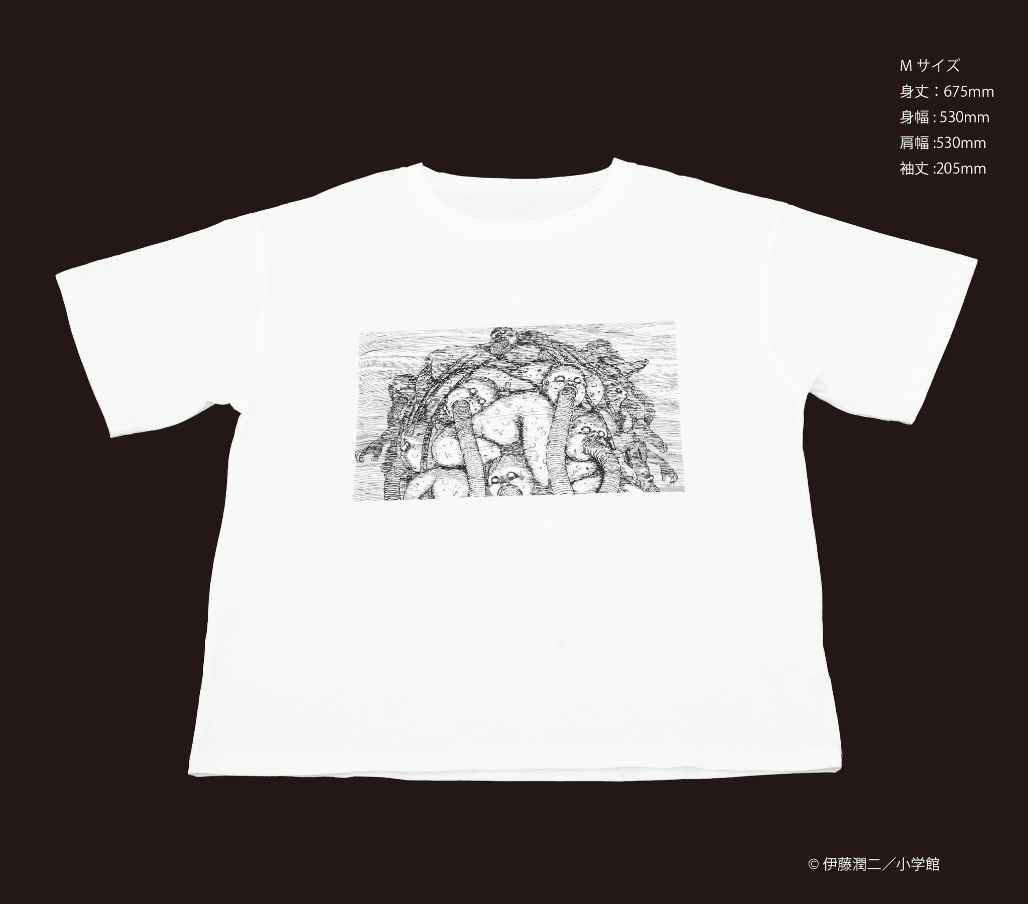 ギョ Tシャツ M 白