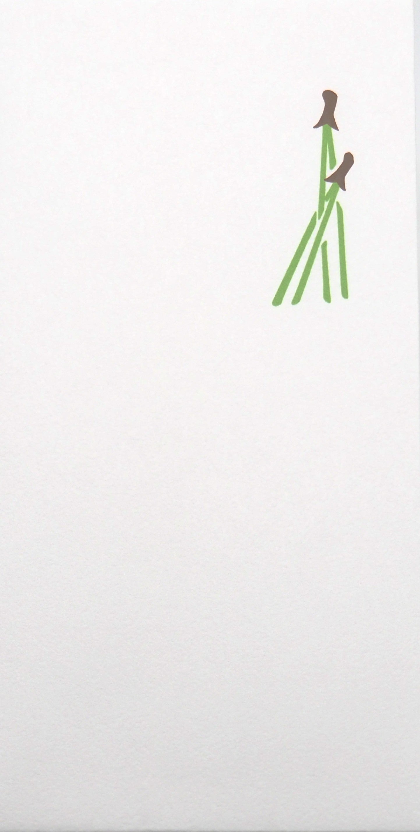 Q047 松葉のし 大 縦18.2cm×横9.0cm 5枚