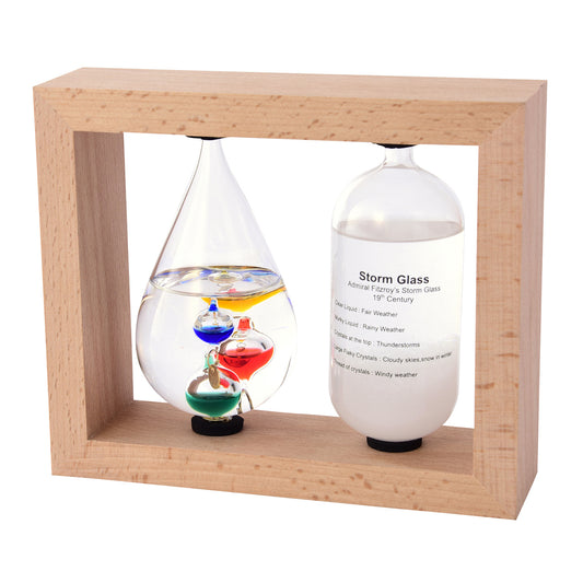 Fun Science 温度計&ストームグラス