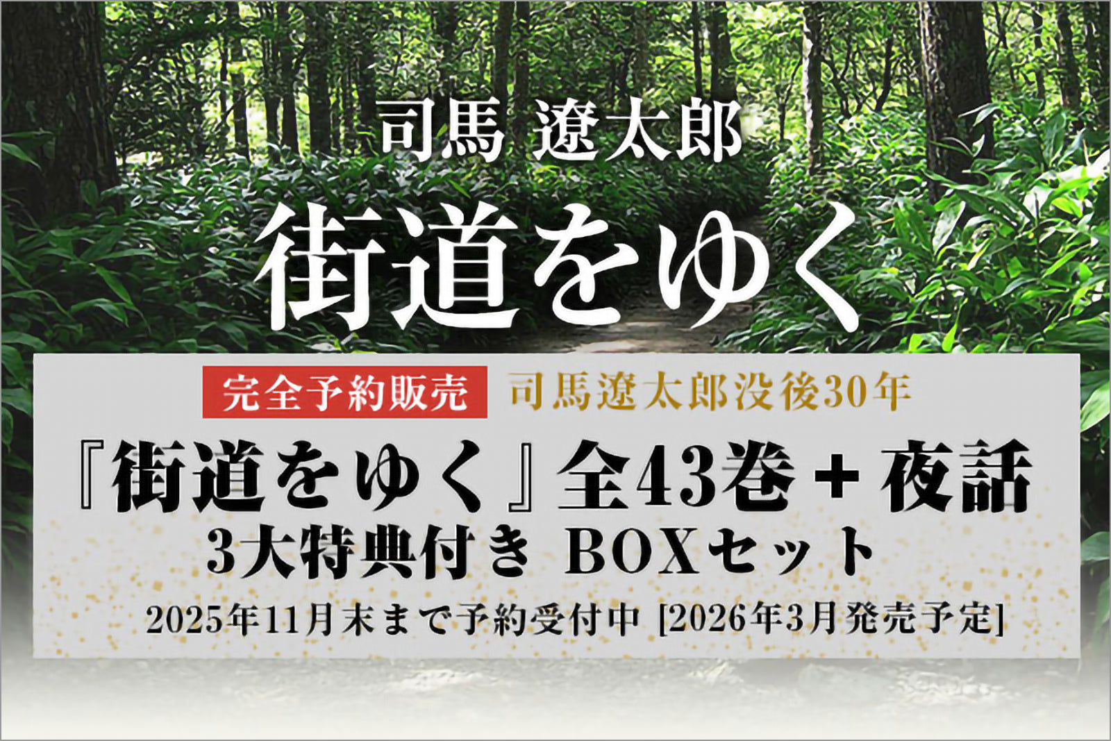 『街道をゆく』全43巻＋夜話　3大特典付き　完全予約販売BOXセット