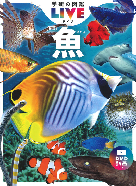 魚　新版
