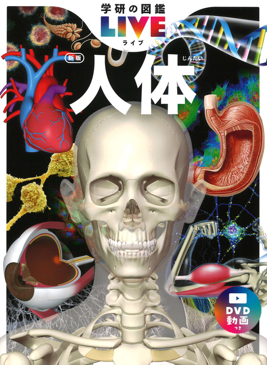 人体　新版