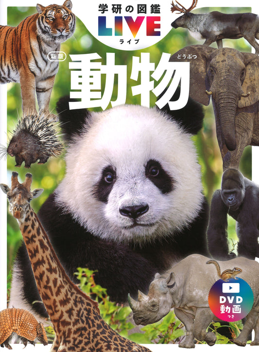 動物　新版