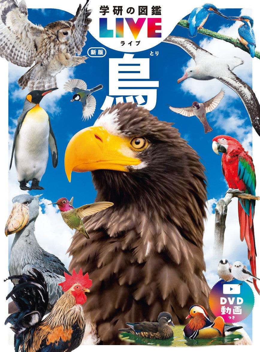 鳥　新版