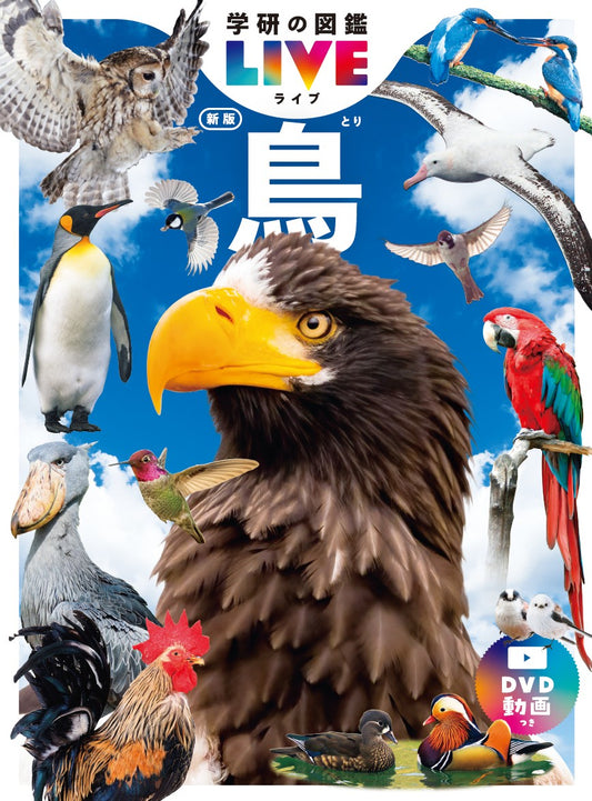 鳥　新版