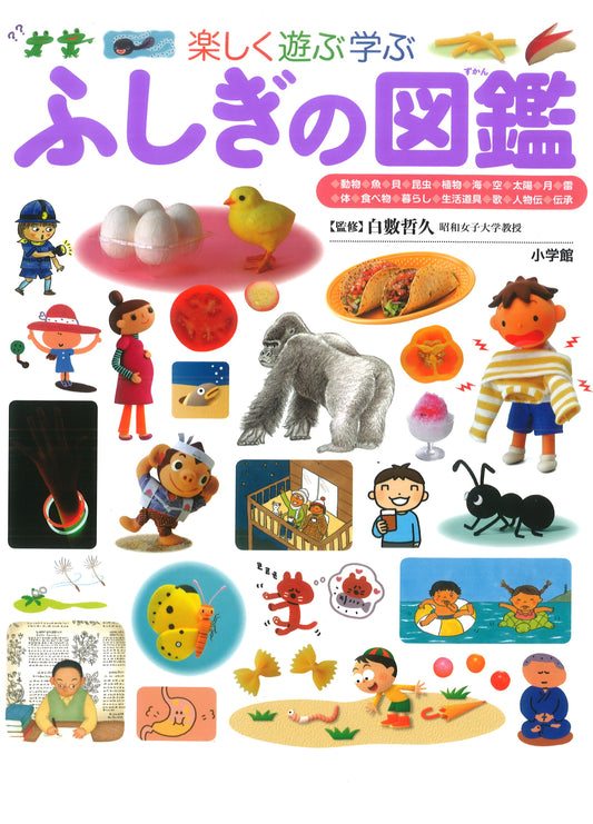小学館の子ども図鑑 プレNEO 楽しく遊ぶ学ぶ ふしぎの図鑑